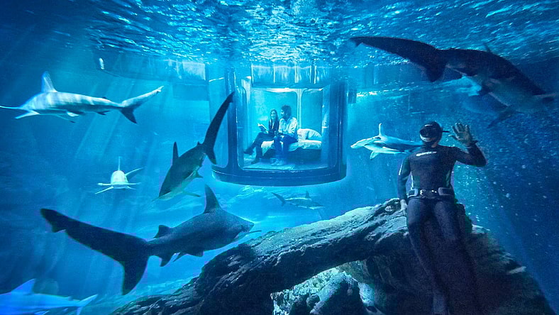 Three winners will each spend a free night surrounded by sharks