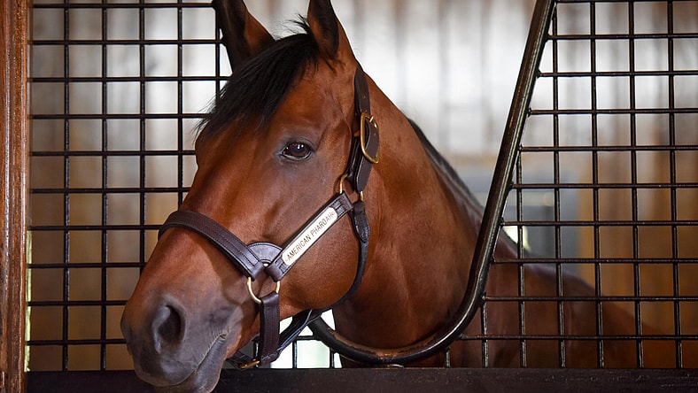 American Pharoah