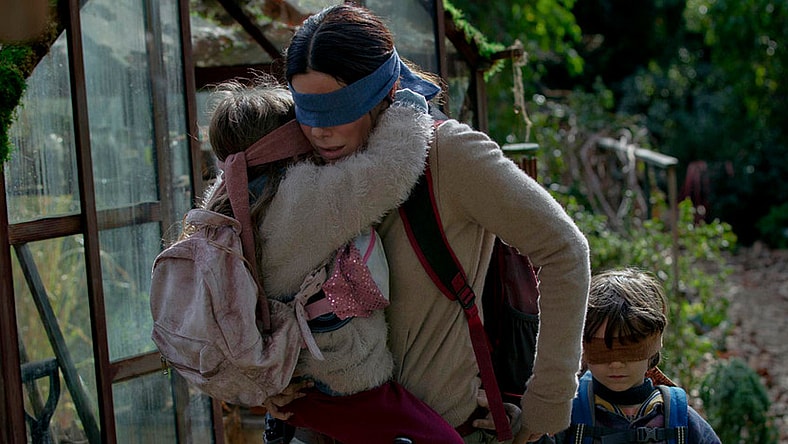 bird box