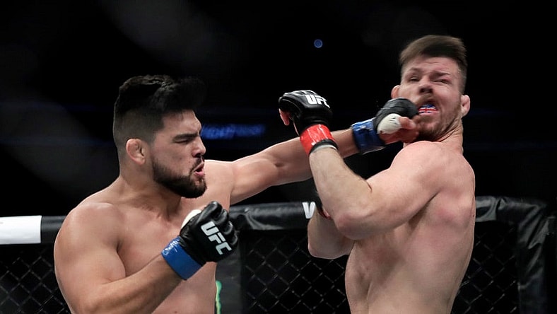 Kelvin Gastelum and Michael Bisping