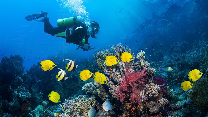 Bonaire Scuba Promo