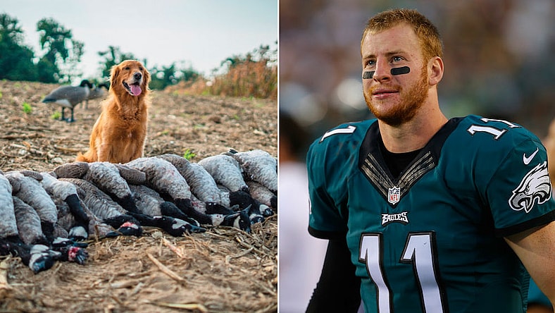 carson wentz