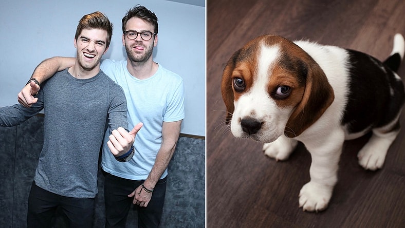 chainsmokers-dog-promo