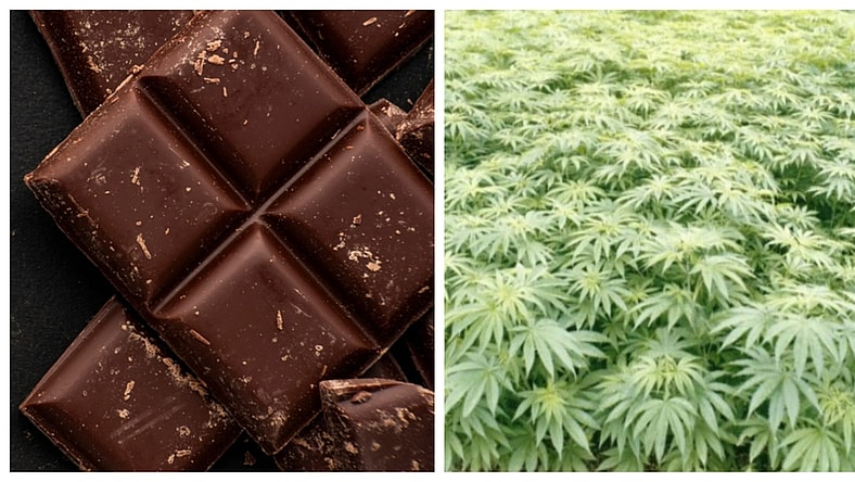 chocolate-cannabis-getty-images