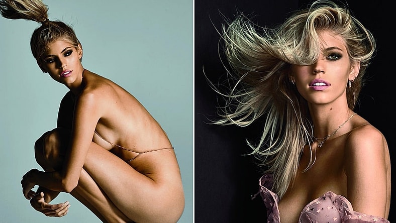 dev-windsor-cover-promo