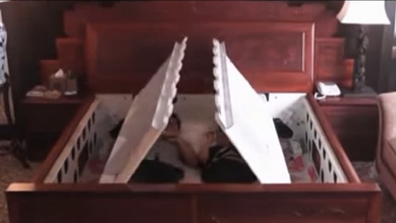 Earthquake-proof bed automatically encases and protects sleepers