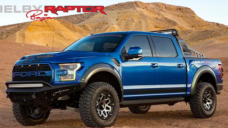 facebook-Linked_Image___Shelby Raptor