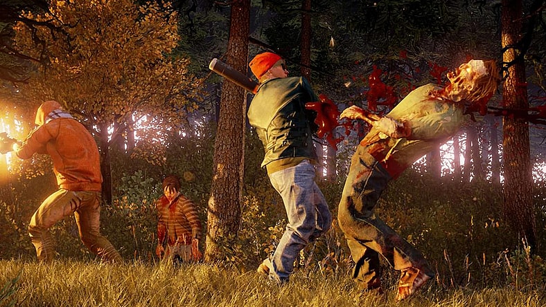 facebook-Linked_Image___State of Decay