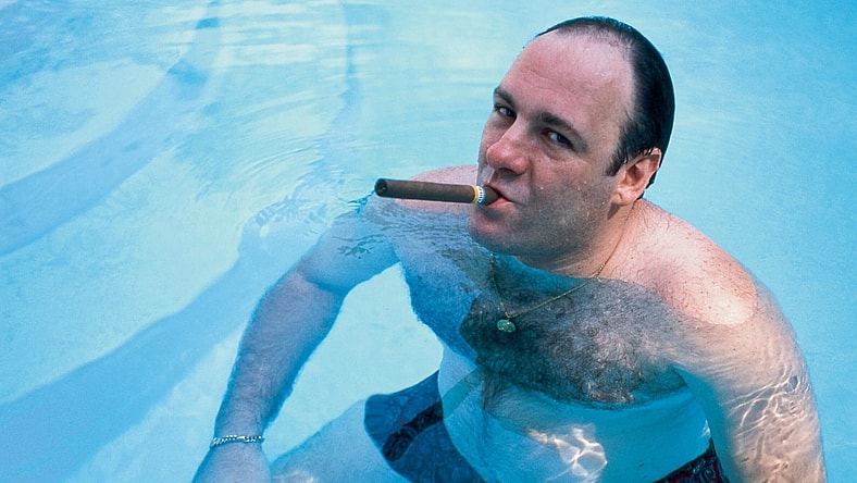 facebook-Linked_Image___tony-soprano-GettyImages-50555794