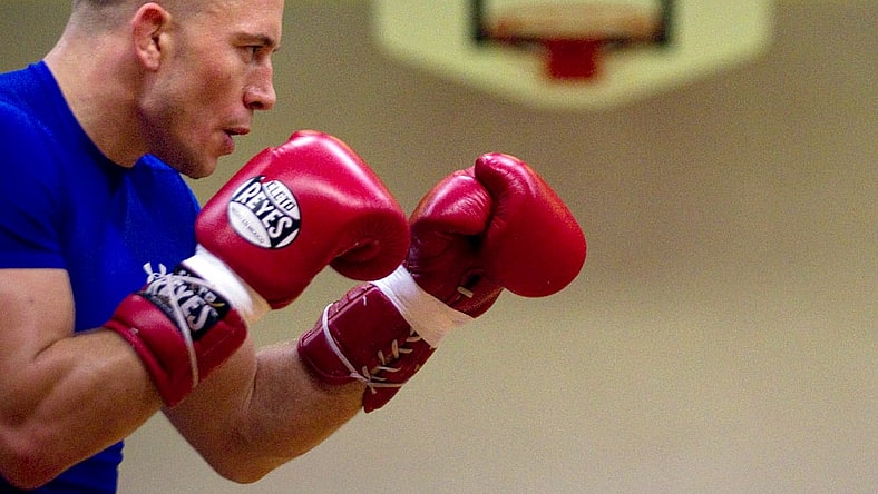 georges-st-pierre-getty