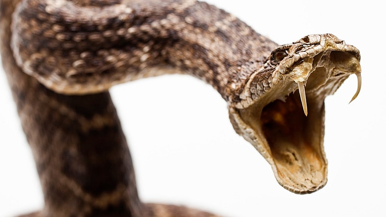 GettyImages-103301193