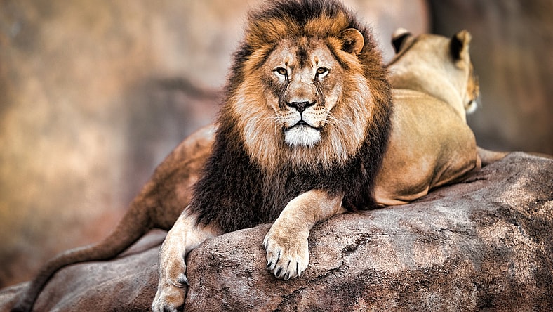 GettyImages-549101021