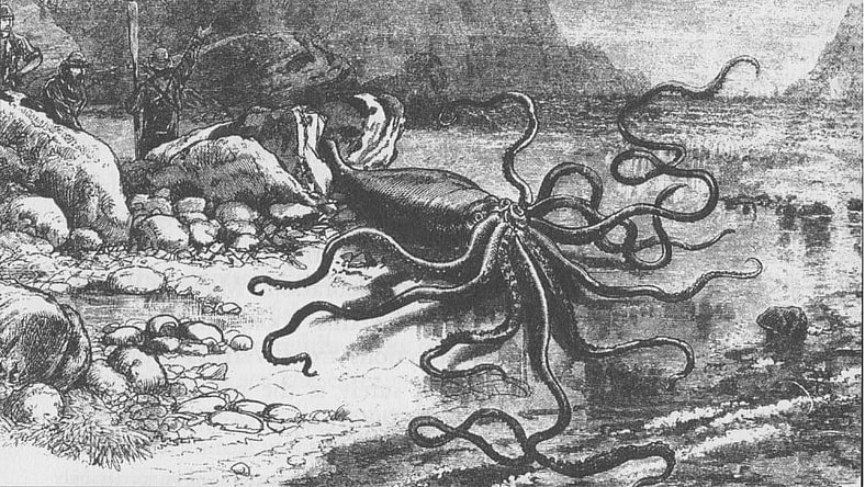 Giant Squid Art