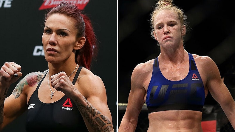 holm cyborg