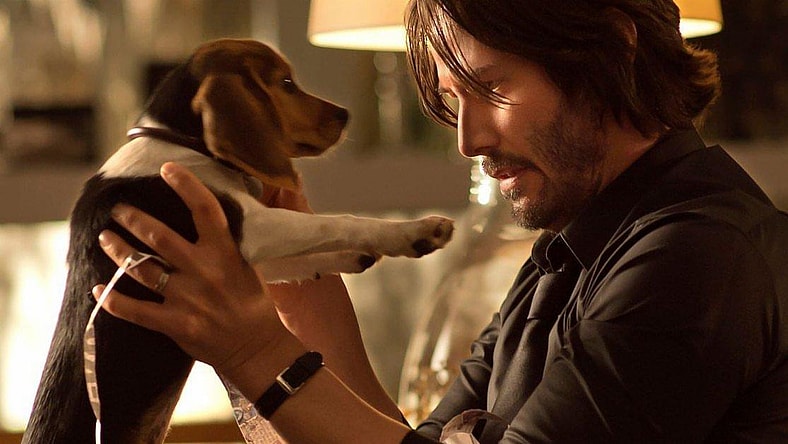 John Wick Dog