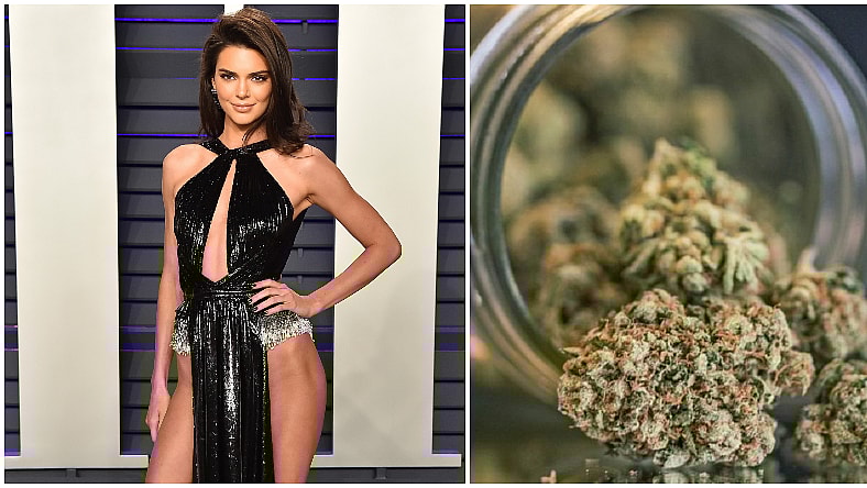 Kendall Jenner Weed