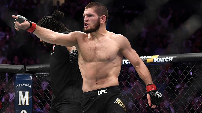 Khabib Nurmagomedov in the Octagon.