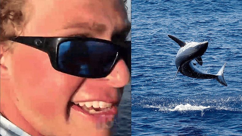 Mako Shark Bro