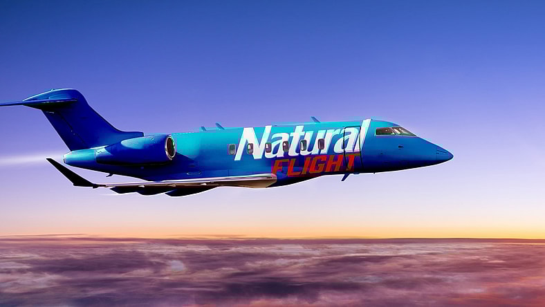 natural-flight-natty-light
