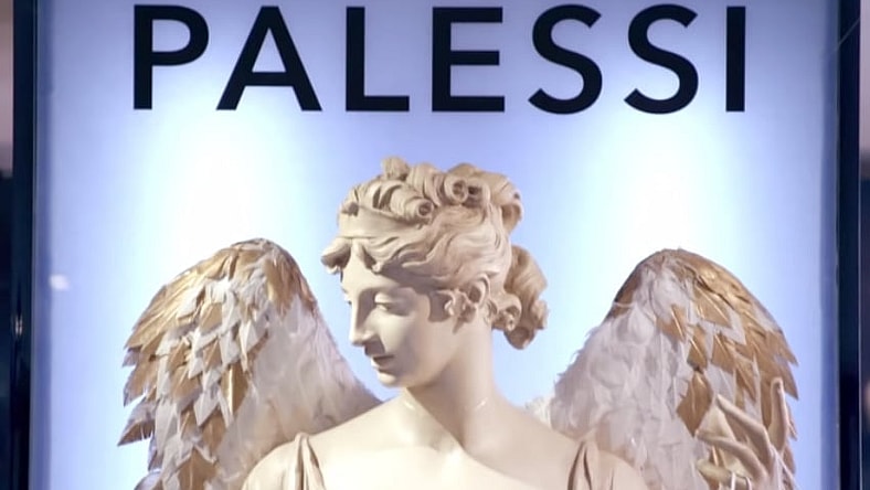palessi-payless-hoax