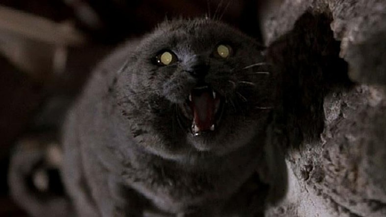 PetSematary