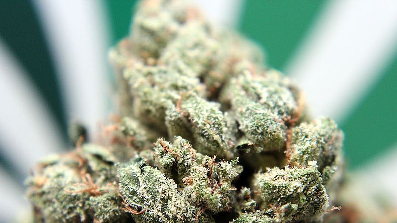 Speed Weed is a medical marijuana delivery service in the L.A. area that blends technology and convenience for its customers.