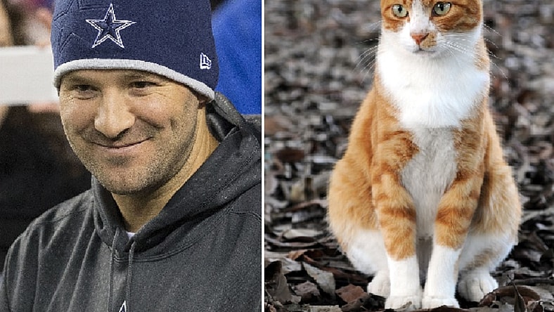 Tony Romo and a cat.