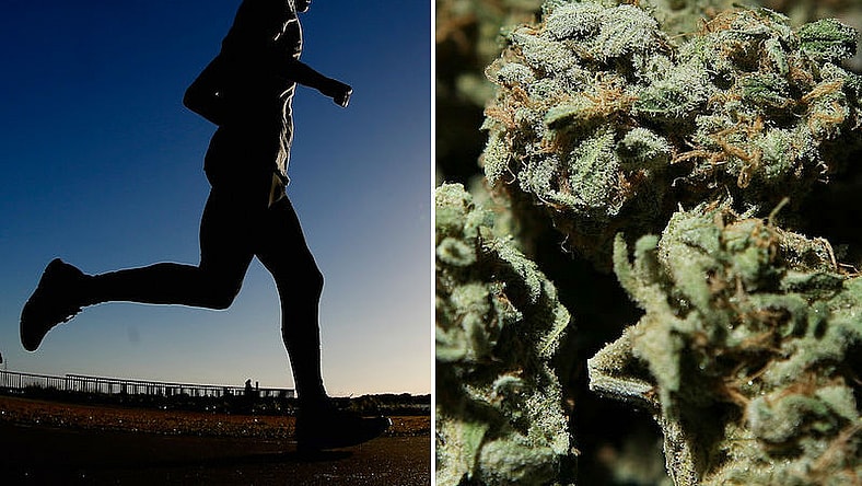 runner high
