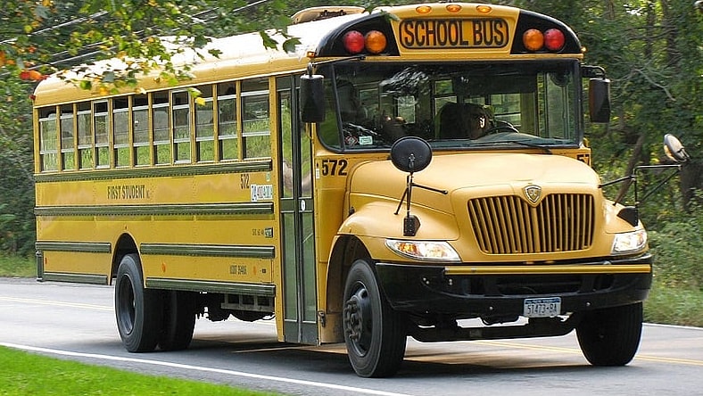 bus