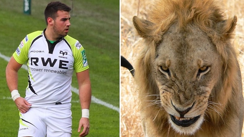 Scott Baldwin vs. Lion