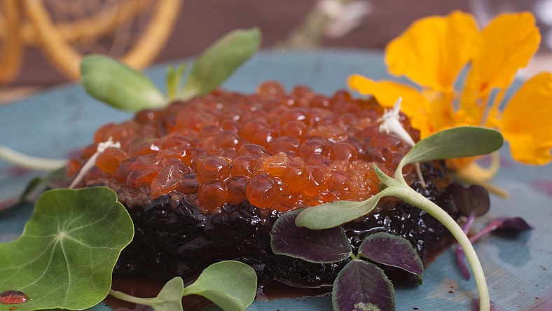 Seal_Tartar_3