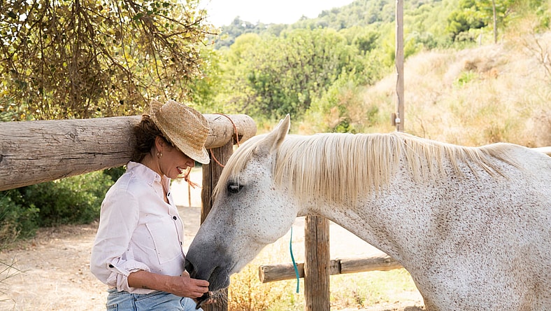 SP_SE_232474_Airbnb_0864007_R