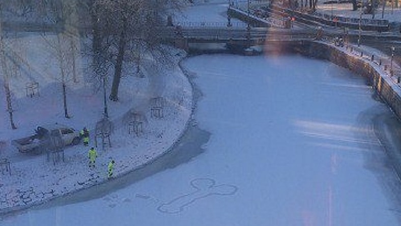 enlarge swedish penis pic