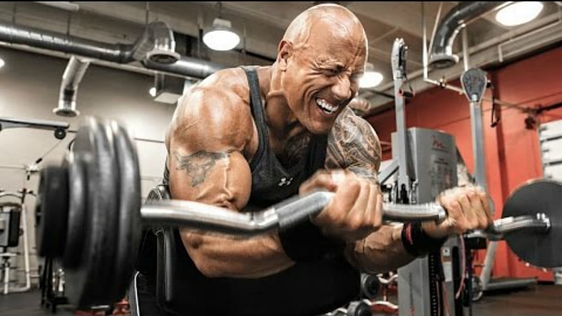 the rock