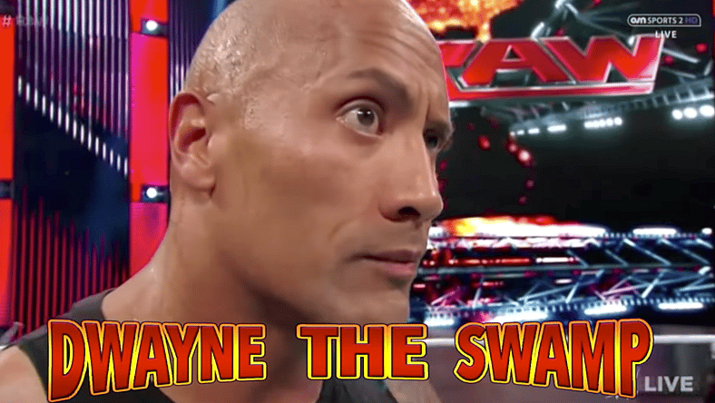 the rock for president