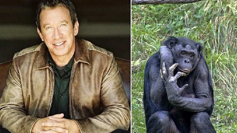 Tim Allen and a chimp