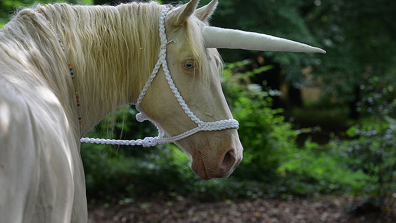 Unicorn Getty