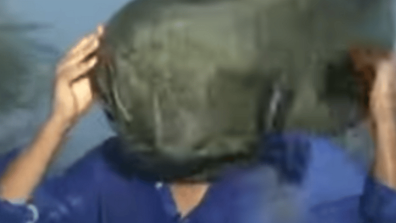 Weather Reporters Owned Irma