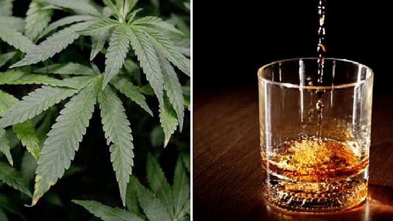 Hemp weed whiskey