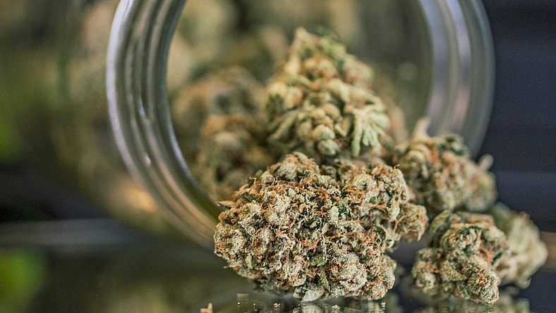 Weed Promo