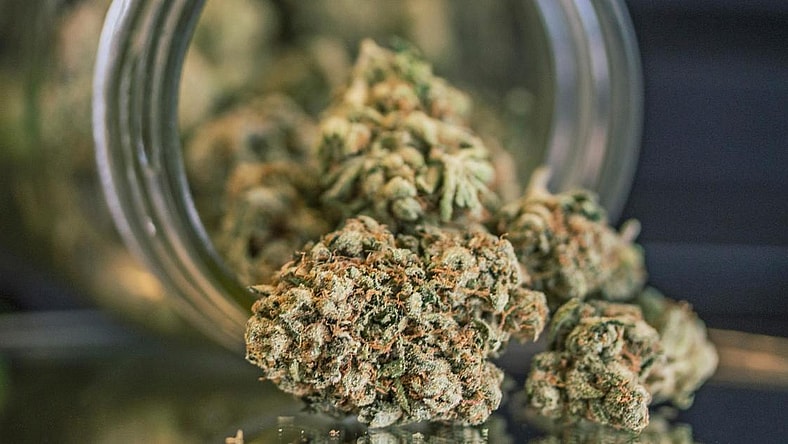 weed-promo
