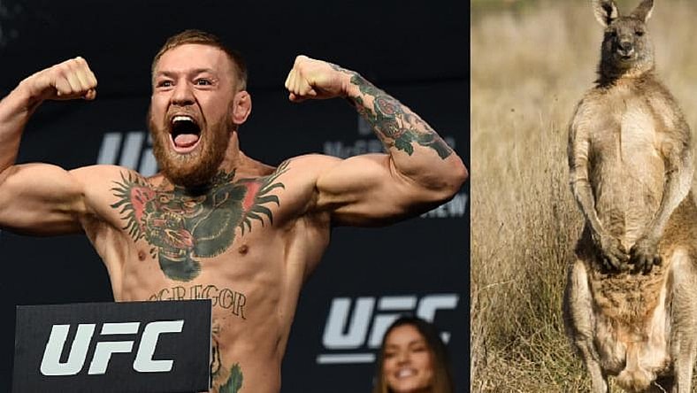 Conor McGregor and a Kangaroo