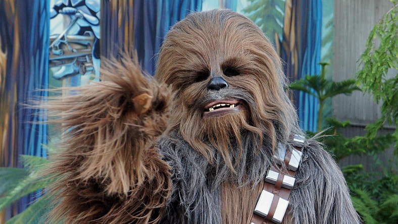 Chewbacca