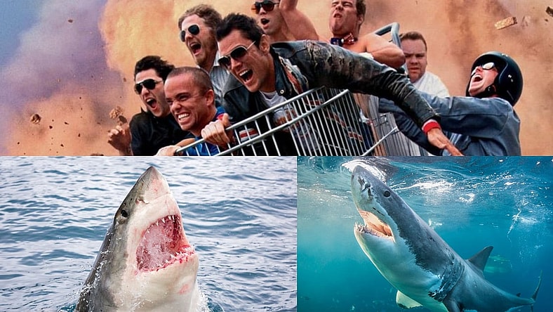jackass-shark-week-2