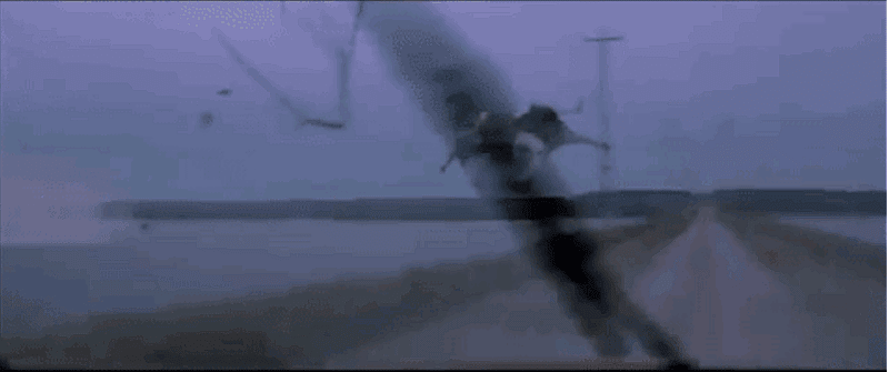 gif-cow