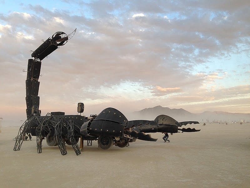 Scorpion 8 Alberto1.jpeg