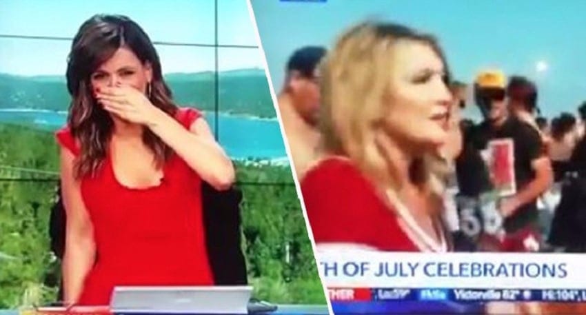 barf vid ktla