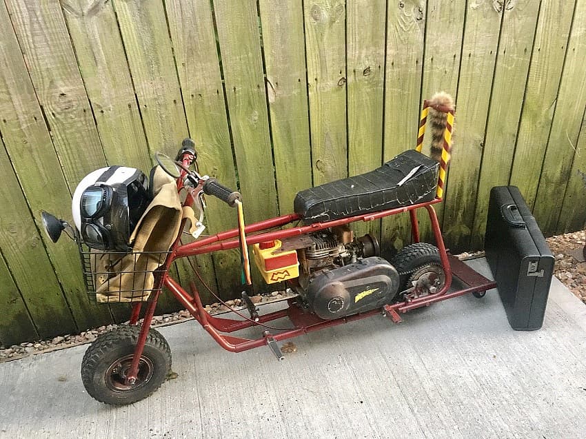 Dumb & Dumber hog