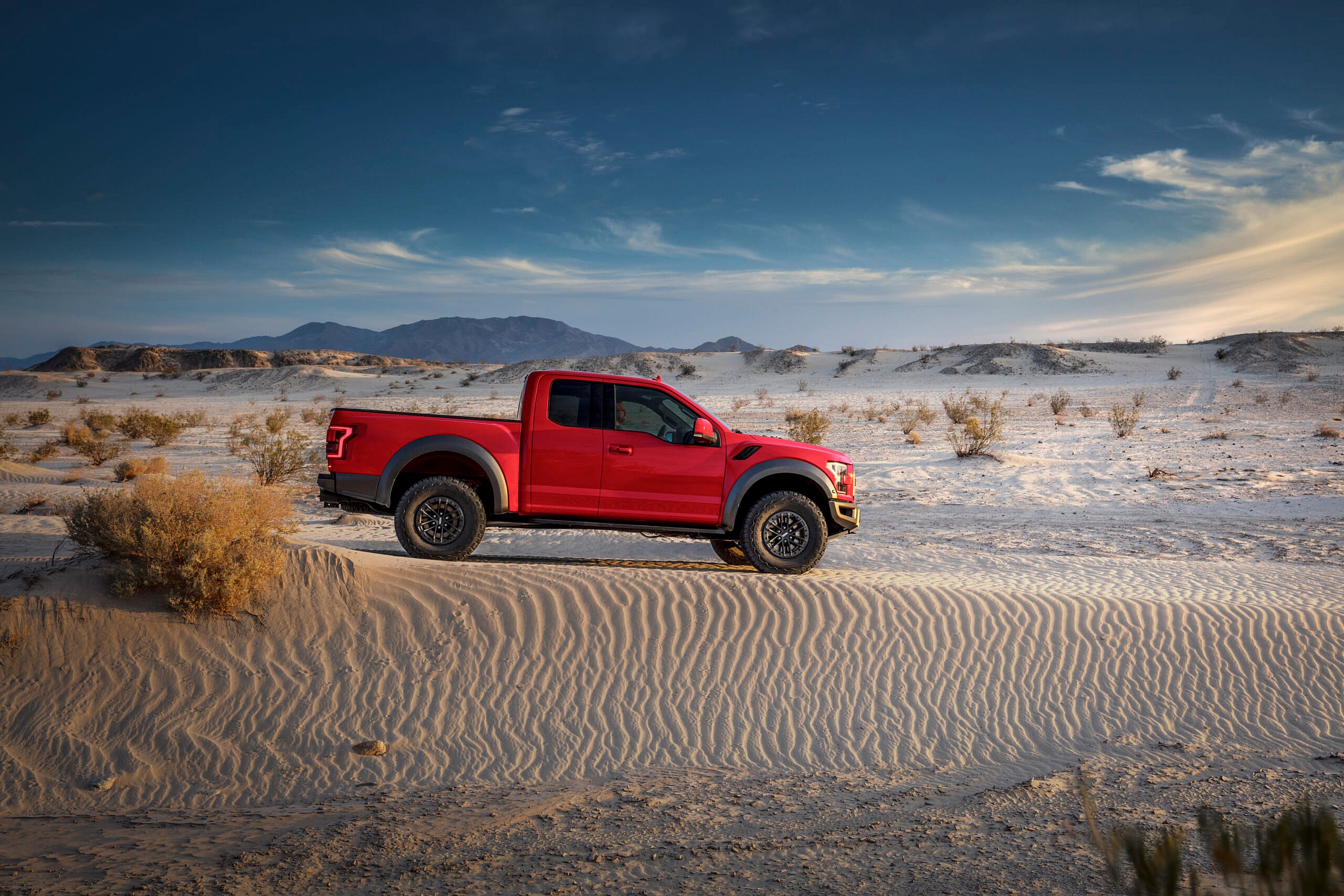 2019 Ford Raptor4
