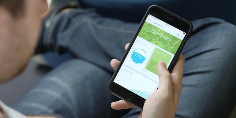 Grobo Cannabis Home Growing System - app.jpg Check in on your specimens through the app (Photo: Grobo)